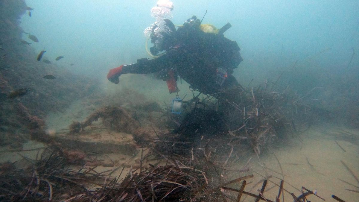 Descobert un tresor arqueològic sota la mar a la Vila Joiosa