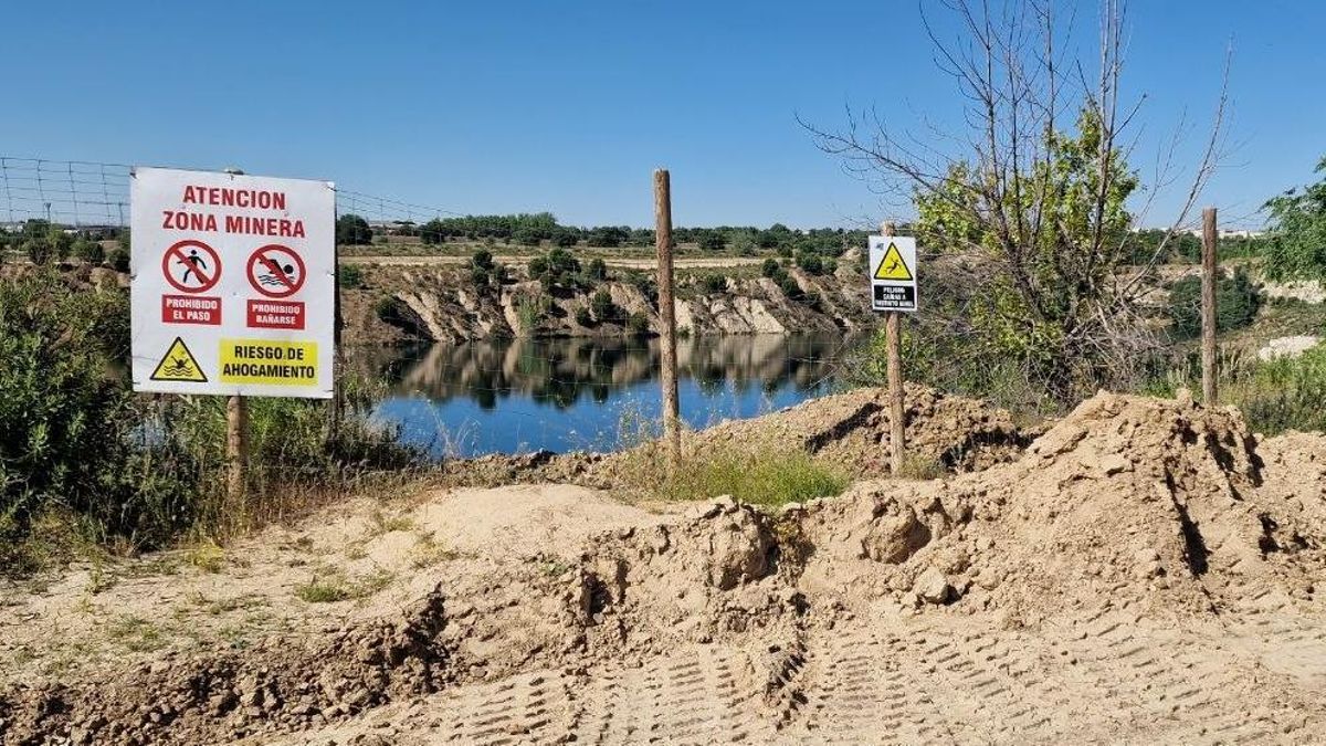 Denuncia para salvar las Lagunas de Ambroz, el "tesoro natural" de Madrid en el que viven 156 especies de aves