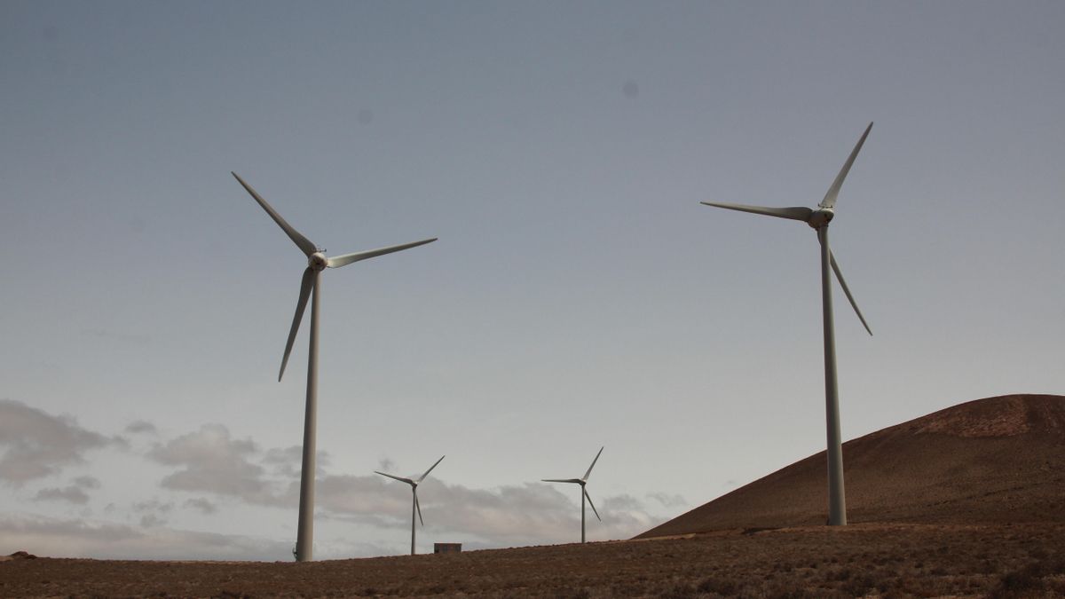 Los cabildos de Lanzarote y Fuerteventura rechazan las zonas de aceleración de renovables