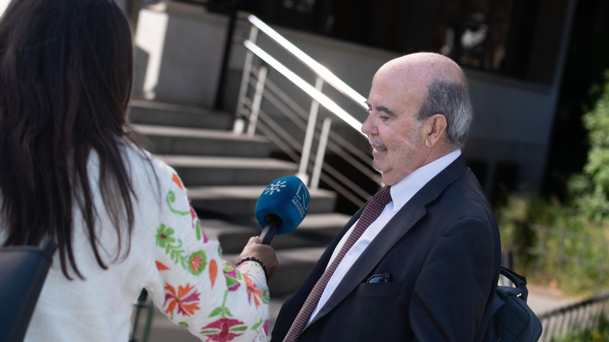 Zarrías dice que contrató a Leire Díez para una investigación sobre la implicación de Villarejo en los ERE que resultó fallida