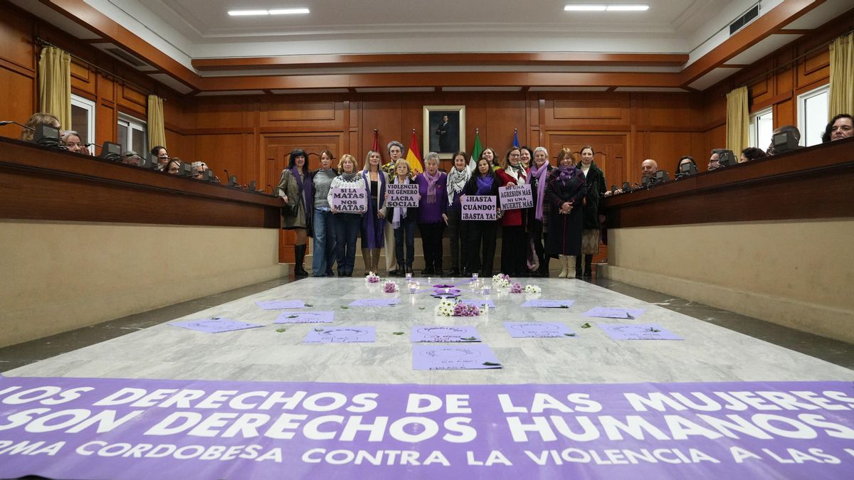 Pleno extraordinario con motivo del Día Internacional de la Eliminación de la Violencia contra la Mujer