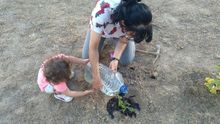 Los vecinos de Alcorcón colaboran en el cuidado de los jardines