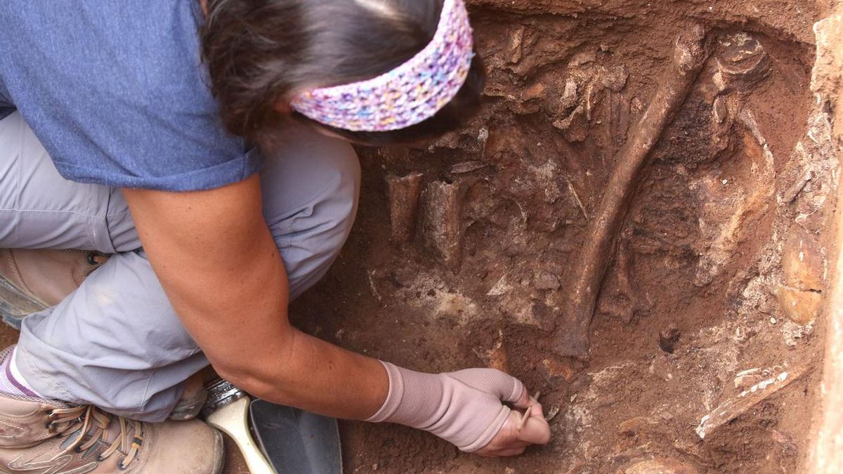 Junta aprueba la formulación del Plan Anual de Memoria, que prioriza exhumaciones e identificaciones genéticas