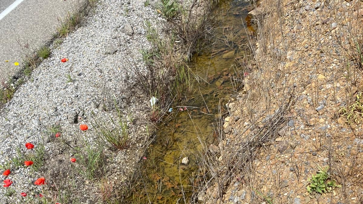 El agua en una finca de Fuente Obejuna