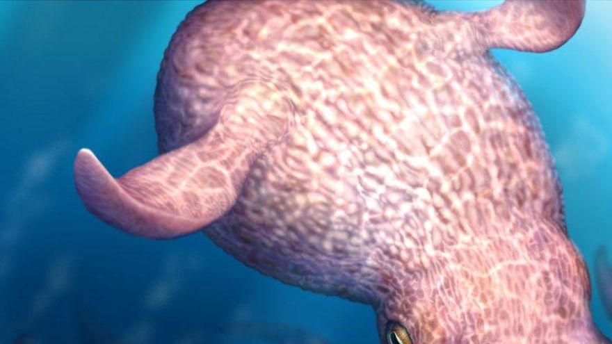 El mito del kraken se cae: un pulpo enorme plantaba cara a superdepredadores en los océanos de hace 100 millones de años
