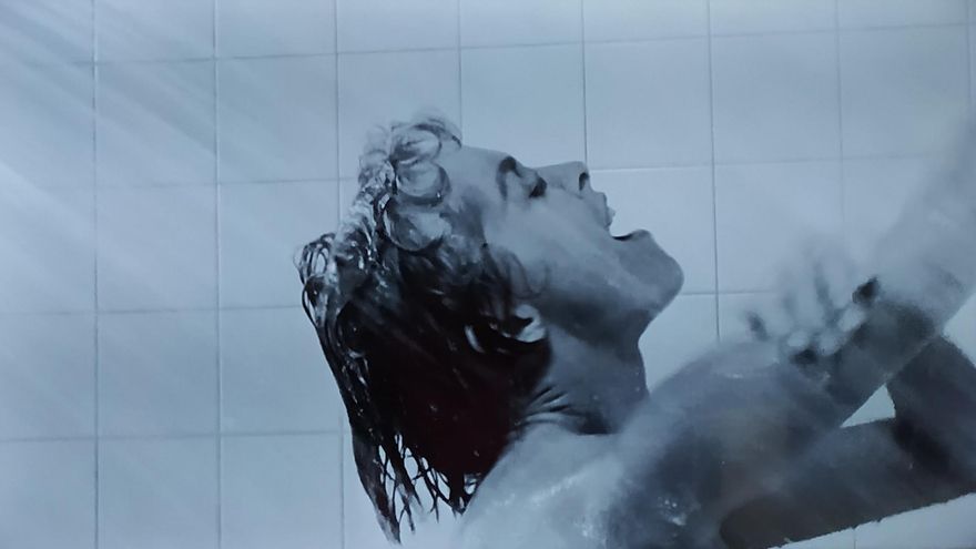 " la boca entreabierta gozando la ducha es ahora la boca abierta para gritar mientras el falocuchillo penetra su carne"