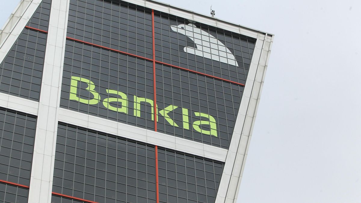 Bankia traspasa activos al Sareb por un valor total de 22.317 millones de euros, 2.850 de ellos de BFA