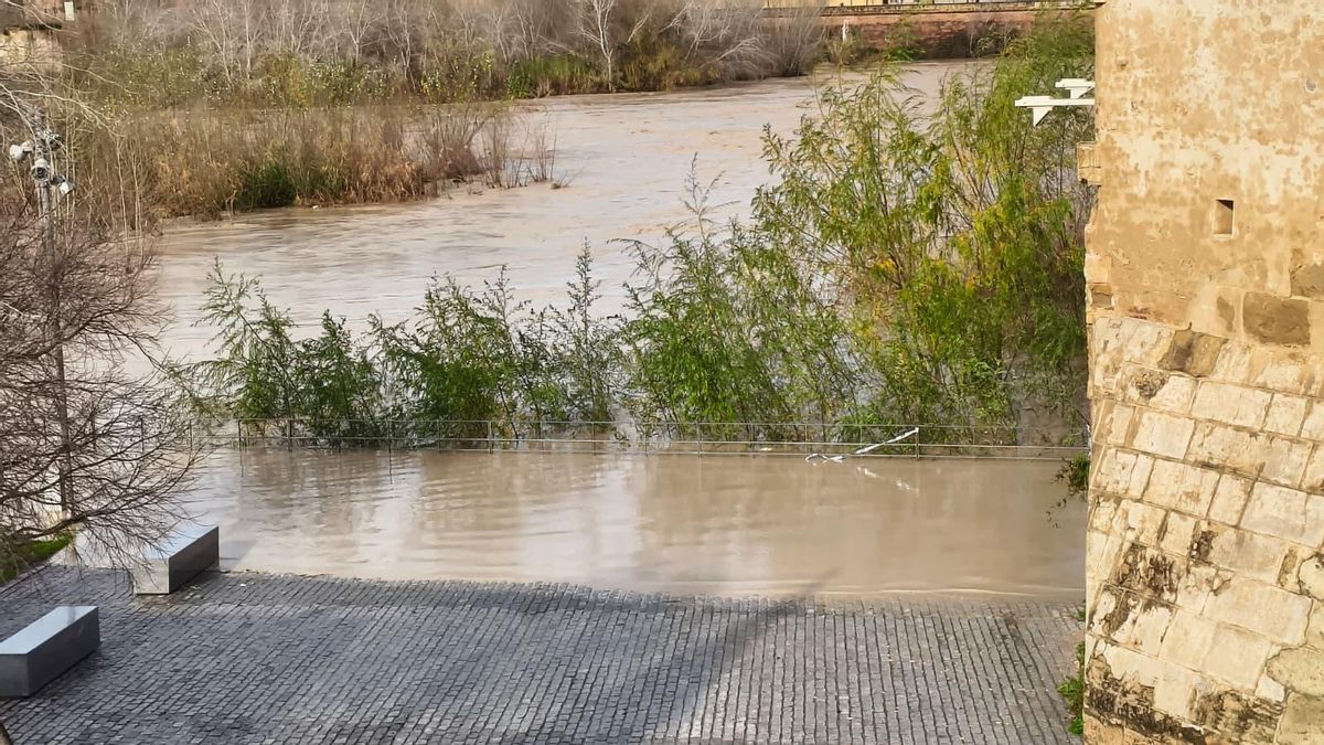 Las imágenes de los daños de la borrasca Kristin a su paso por Córdoba