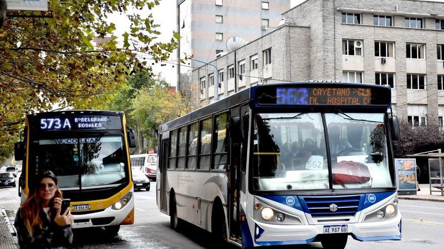 Un paro de colectivo afecta a Mar del Plata en plena temporada de verano