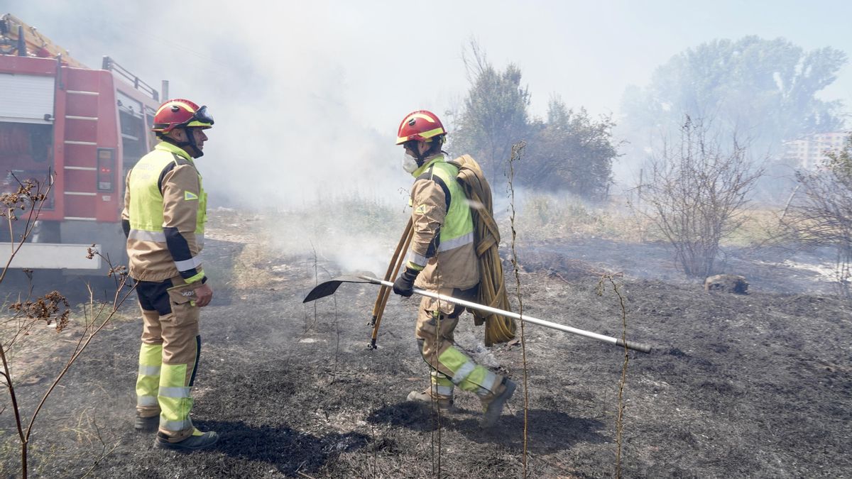 Promonumenta homenajea a los "héroes" de los incendios de 2025 con su nombramiento como Socio de Honor