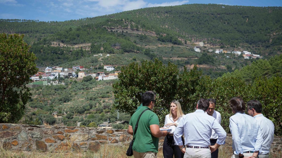 PP y Vox quieren que el Gobierno modifique la Ley de Montes para permitir cambios de uso forestal tras incendios como el de Las Hurdes