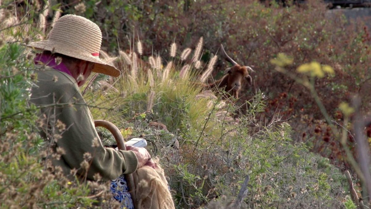 Fotograma del largometraje 'Cabreras. Mundos rurales habitados por mujeres' de la directora palmera Estrella Monterey.
