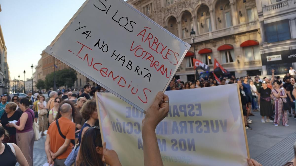 Madrid protesta por la gestión de los incendios: “La situación es inadmisible y vergonzosa”
