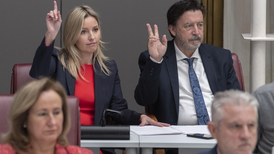 Los diputados Ana Martínez Vidal y Juan José Molina durante las votaciones