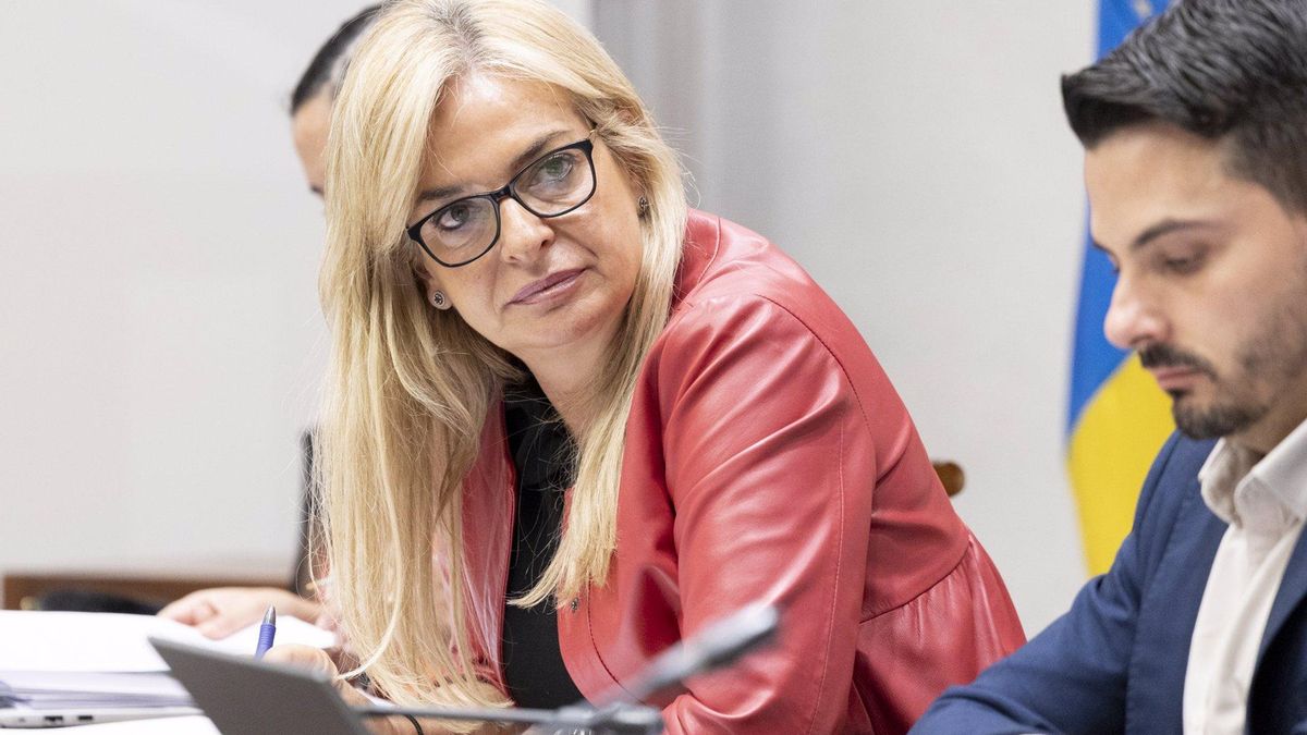 Archivo - La consejera de Sanidad del Gobierno de Canarias, Esther Monzón, interviene en comisión parlamentaria
- GOBIERNO DE CANARIAS - Archivo