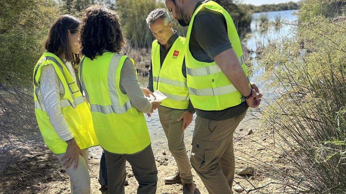 Reabre la Laguna del Soto de las Cuevas, la maravilla natural de Aranjuez