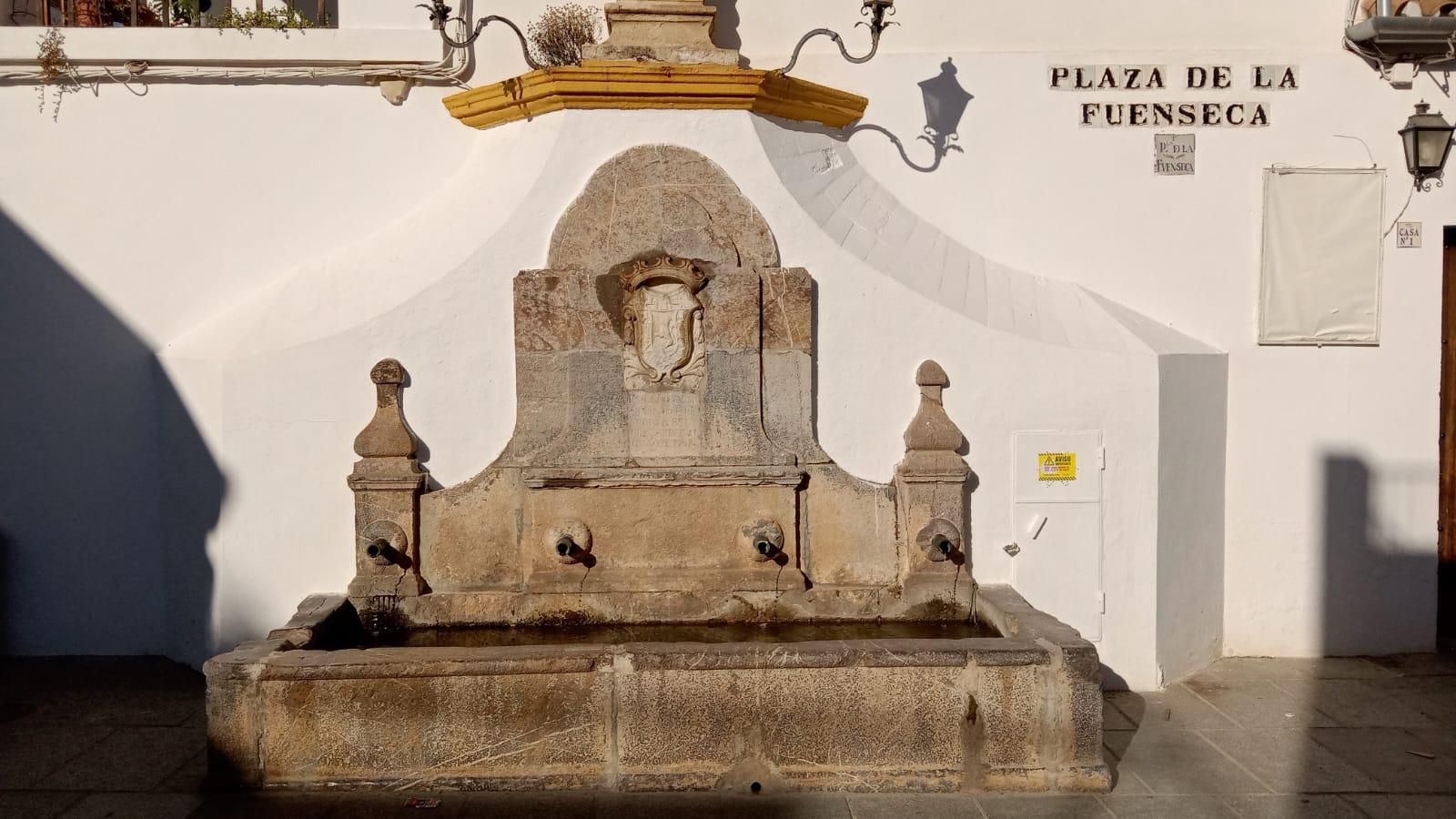 Greenpeace inunda las fuentes de Córdoba con mensajes de advertencia por el regadío intensivo