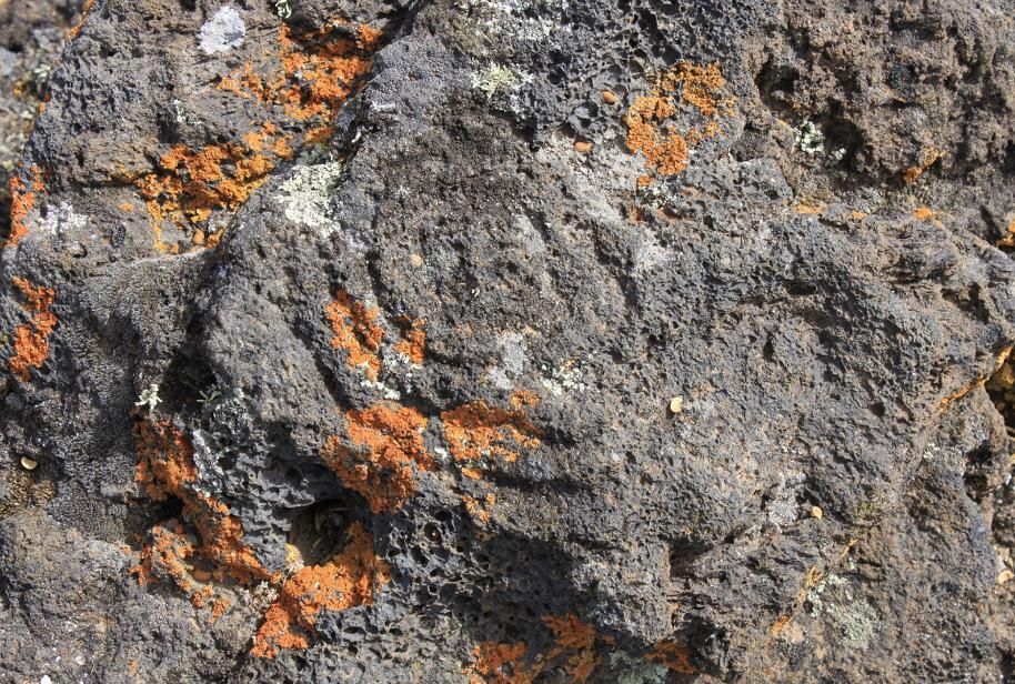 Grabado rupestre en el asentamiento de Las Grajas (Jedey. Los Llanos de Aridane) (Foto: Jorge Pais Pais)