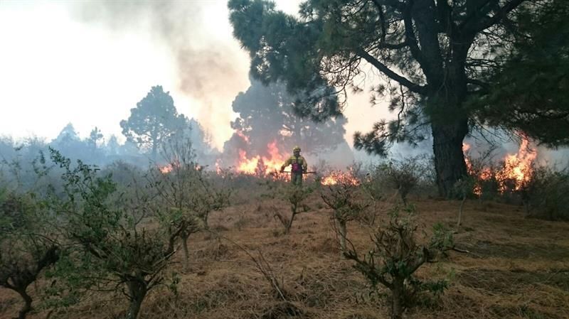 Incendio en La Palma. (Efe)
