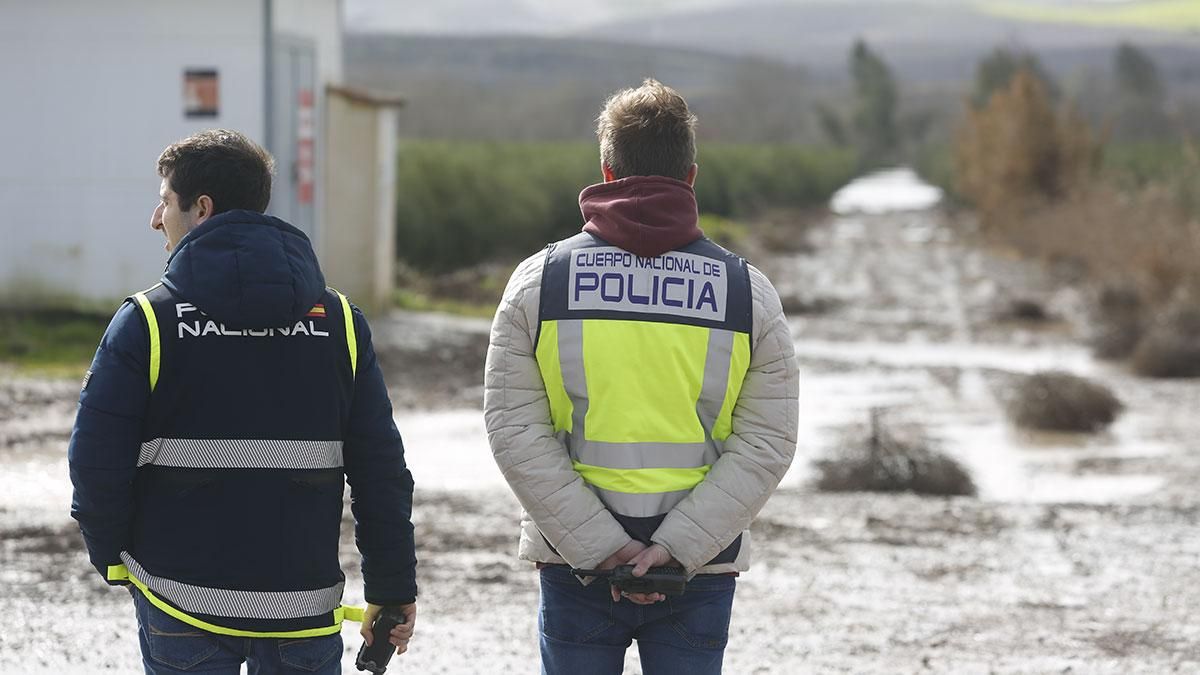 Suspendido el juicio a 16 acusados de ocultar casi 187 kilos de hachís y marihuana en parcelas de Córdoba
