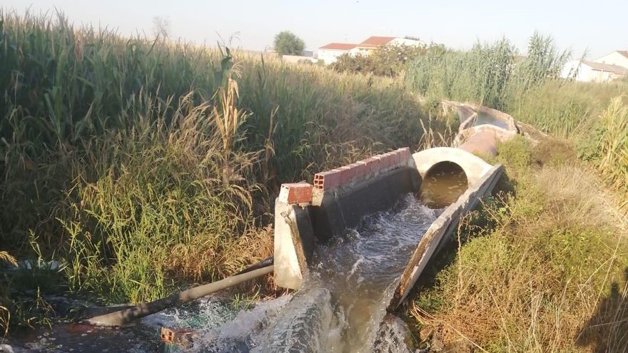 Los regantes del Jarama denuncian un recorte del 20% en el riego que se les ha comunicado por teléfono y con la campaña iniciada