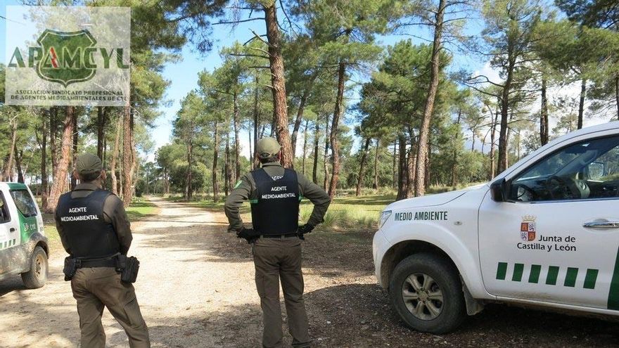 Los agentes medioambientales de Castilla y León avisan a la Junta que eliminar 72 plazas dificulta la defensa del medio natural