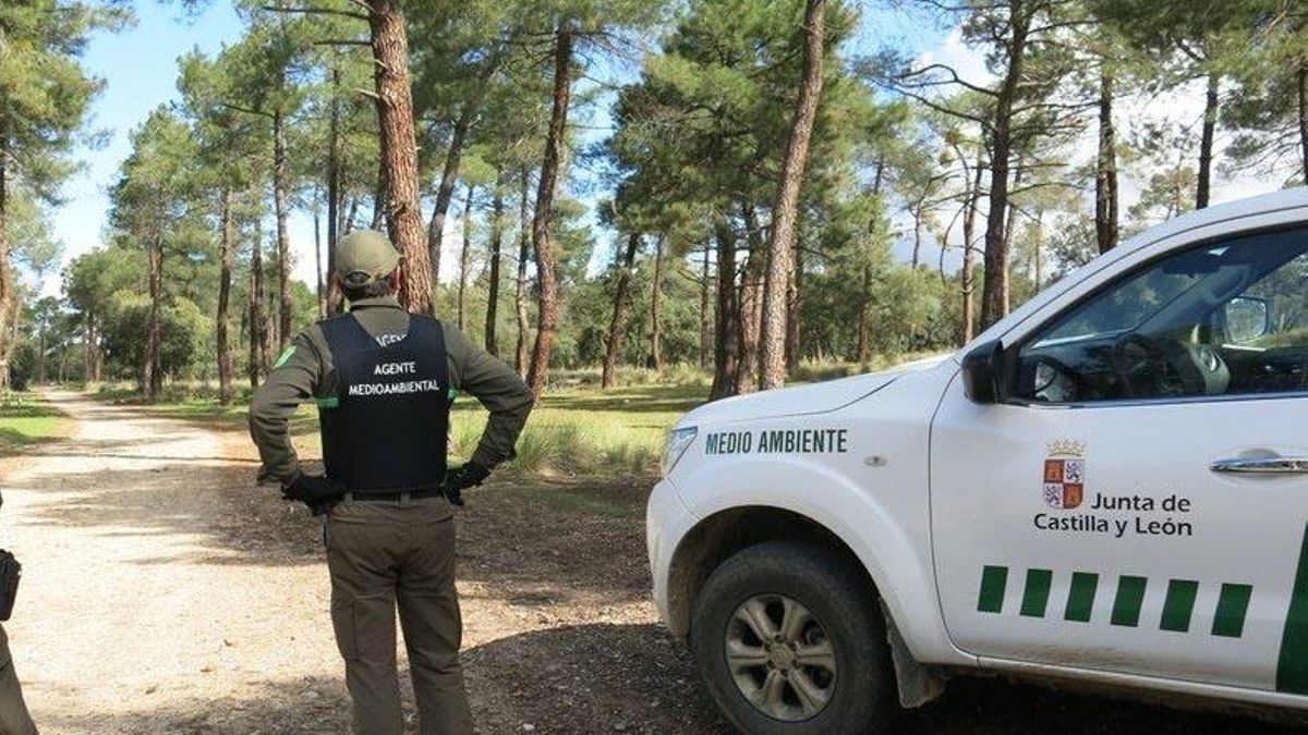 Agentes medio ambientales de Castilla y León.