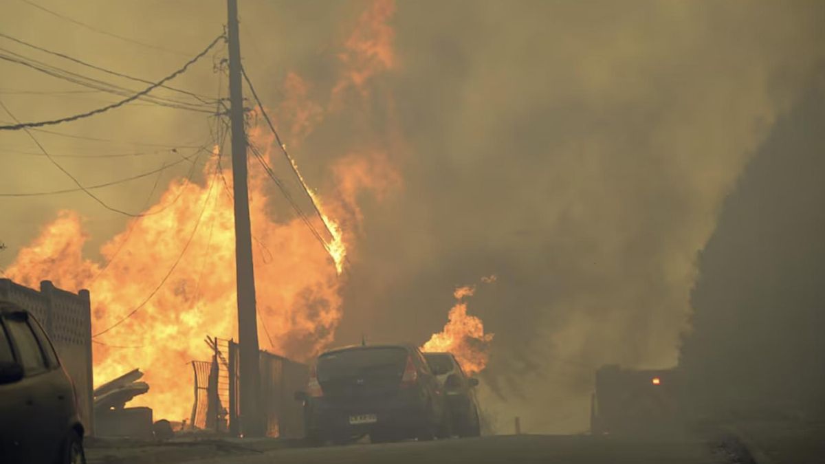 Uno de los puntos más críticos es la comuna de Penco, en la región del Biobío, donde se registran unas 5.000 hectáreas quemadas.