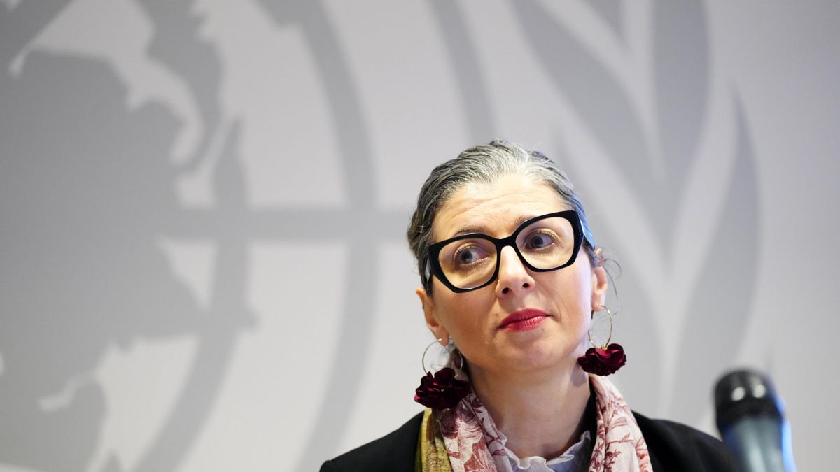 Un 'honoris causa' para Francesca Albanese