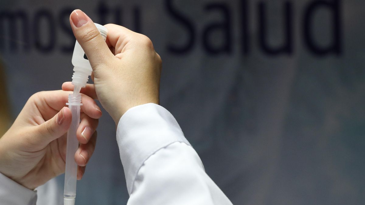 Un sanitario prepara un test de antígenos.