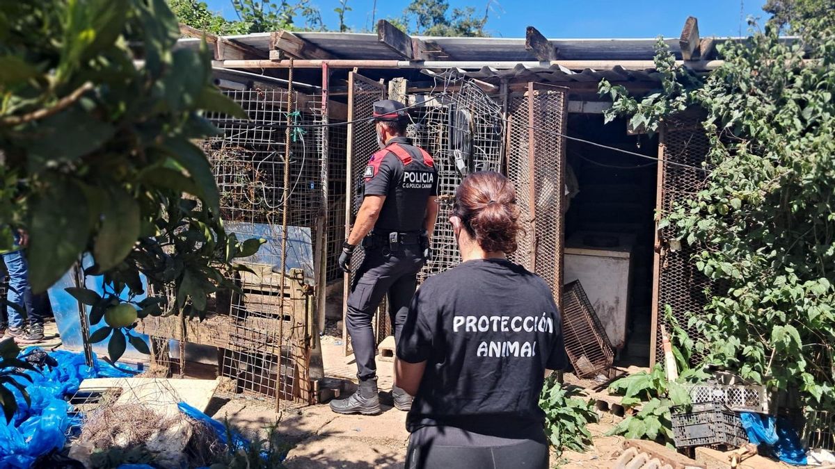 Los agentes, inspeccionando el lugar en el que el detenido tenía a los animales.