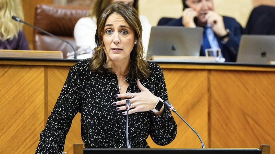 Los alcaldes de IU registran escritos en la Junta ante "la grave situación" de la Dependencia en Córdoba