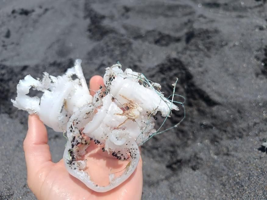 Residuo plástico localizado en la costa de La Palma. MOVIMIENTO SOMOS UNA OLA