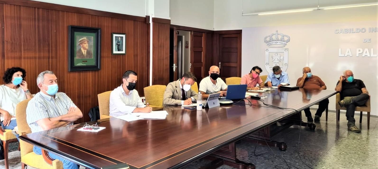 Reunión de la Comisión de Patrimonio.