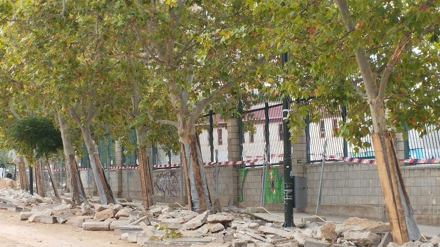 Ecologistas denuncian que el Gobierno del PP en Zaragoza incumple en las obras del Huerva la protección del arbolado