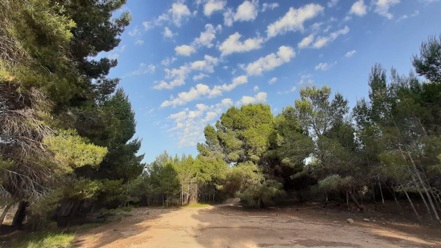 El Ayuntamiento de Paterna afirma que acelerará la tramitación para declarar Les Moles Parque Natural Municipal