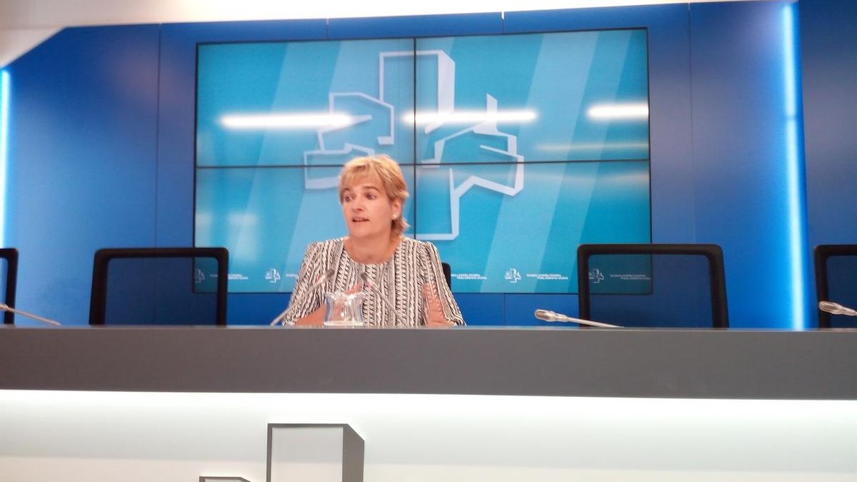 EH Bildu asegura que "no le temblará el pulso" a la hora de pedir la dimisión de Darpón si no asume responsabilidades