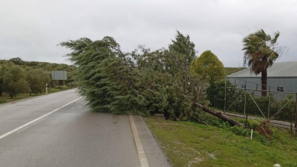 Cortes parciales de carretera en Córdoba, suroeste: A-379 pk39+215 (Santaella)