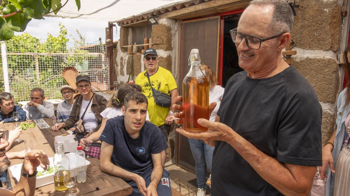 Visita a la Bodega Vega de Gáldar.