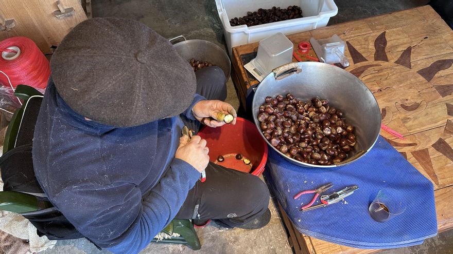 Mikel Álvarez cortando las castañas