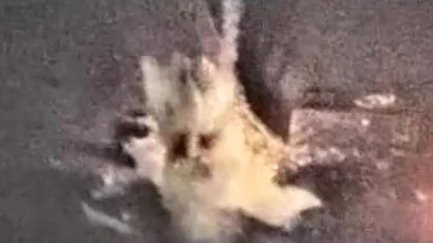 Captura del vídeo de las FDI que muestran el ataque contra buques en el norte de Irán.