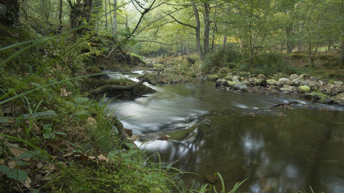 Imagen del Parque Natural del Saja. | JOAQUÍN GÓMEZ SASTRE