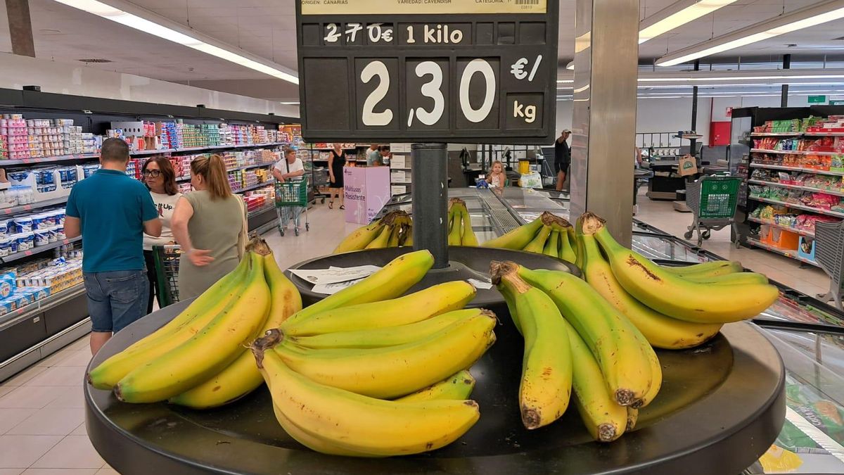 El platanero canario ya solo ‘cosecha’ pérdidas con las ventas en la Península