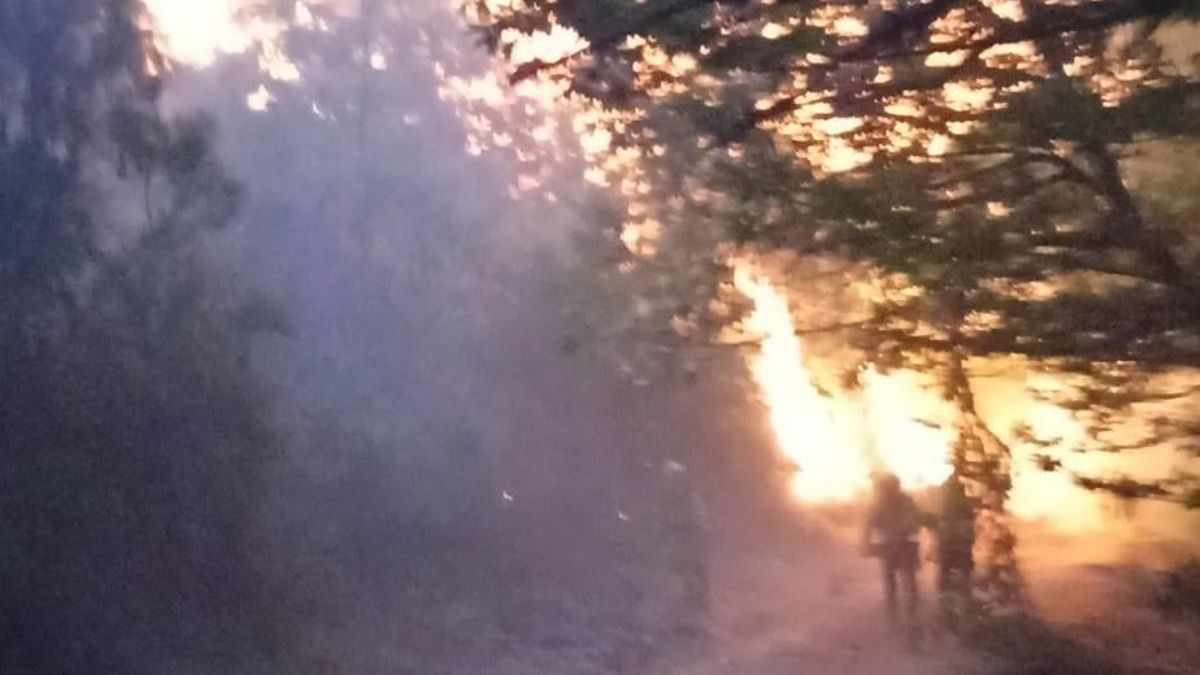 Incendio en Cela, en el municipio de Villafranca del Bierzo