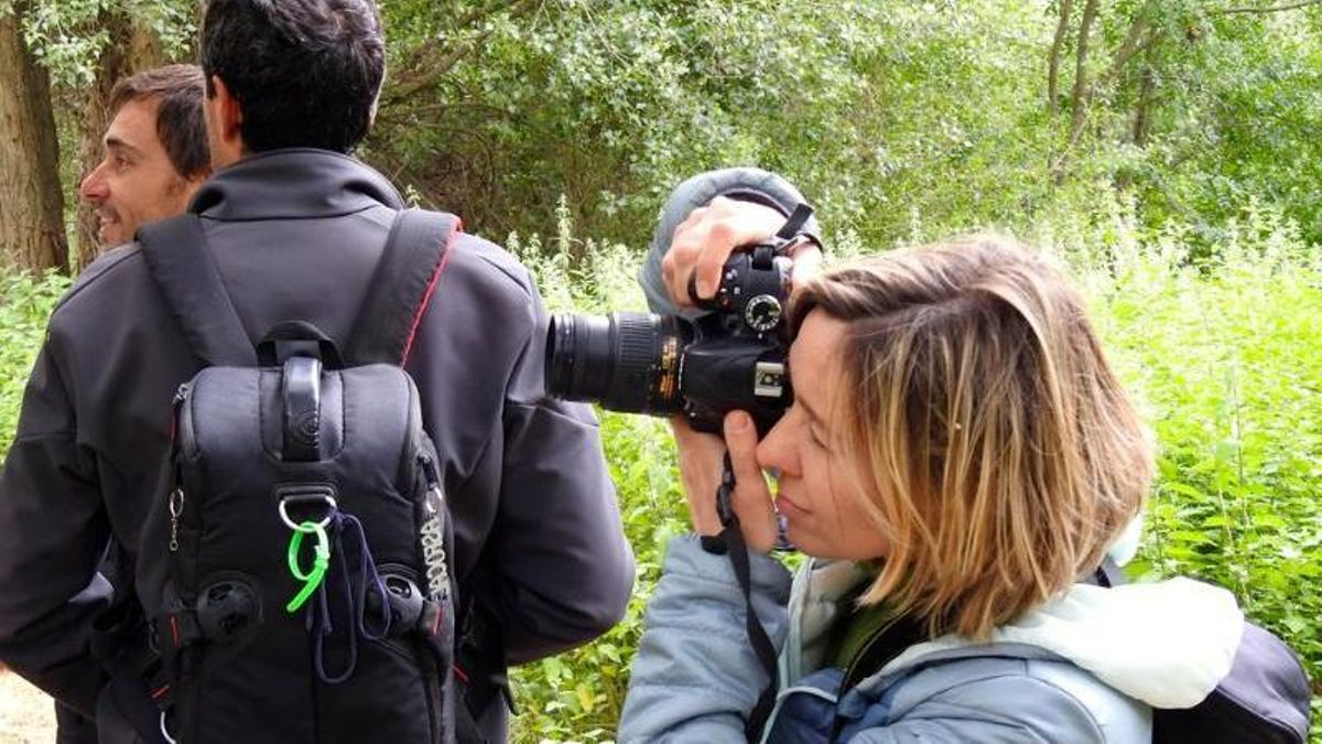 ¿Quieres aprender o mejorar las fotografías de aves?