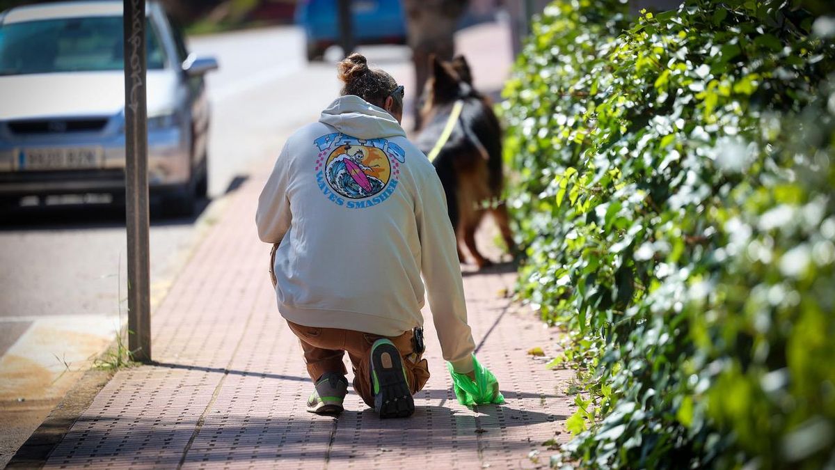 Una dona recull l’excrement de la seua mascota. 