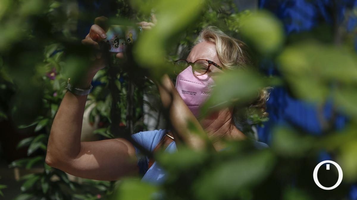 Patio en la C/ Siete Revueltas, 1