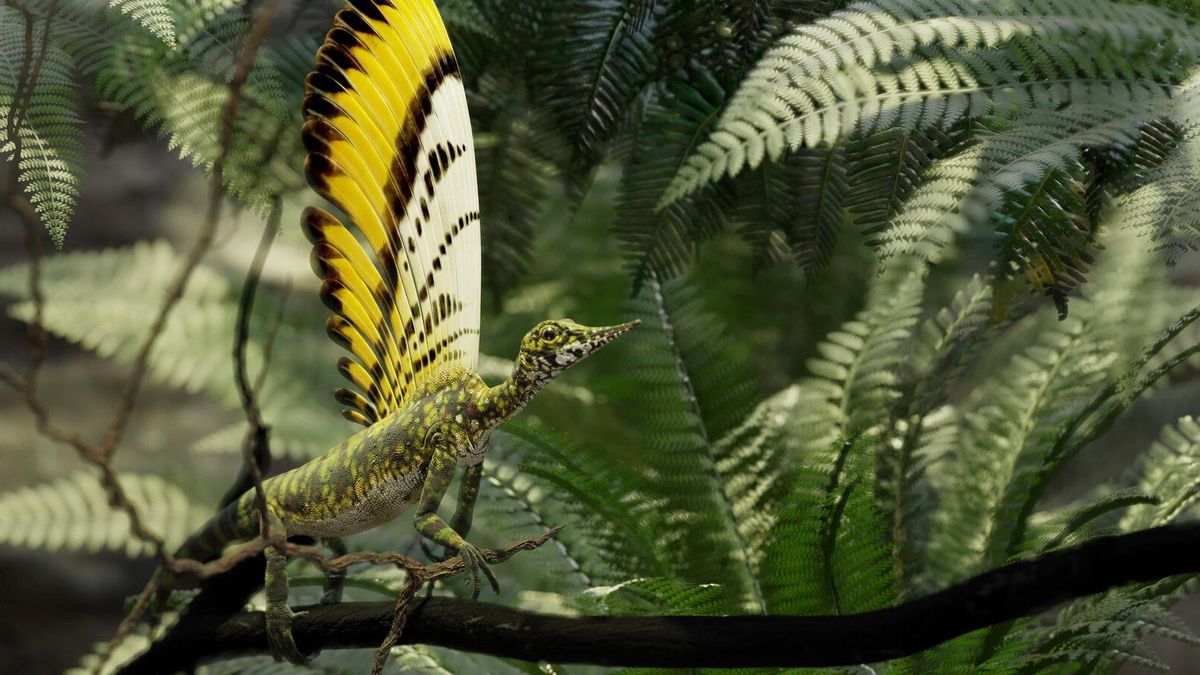 Un fósil del Triásico aporta nuevas claves sobre la evolución de las plumas