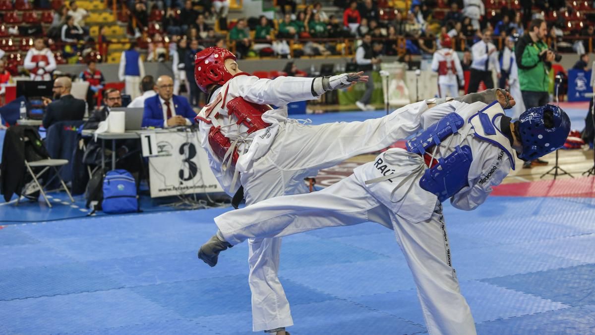 Open internacional de Andalucía de Taekwondo y Copa Iberdrola