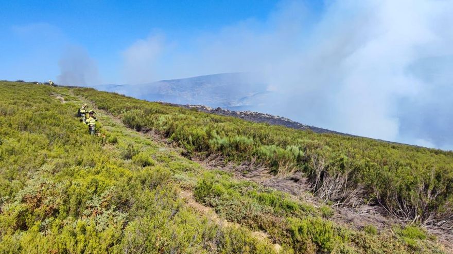 La Junta aprueba el Proyecto de Decreto por el que se regula la planificación y ordenación forestal en Castilla y León